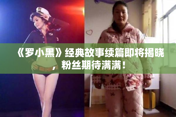 《罗小黑》经典故事续篇即将揭晓，粉丝期待满满！