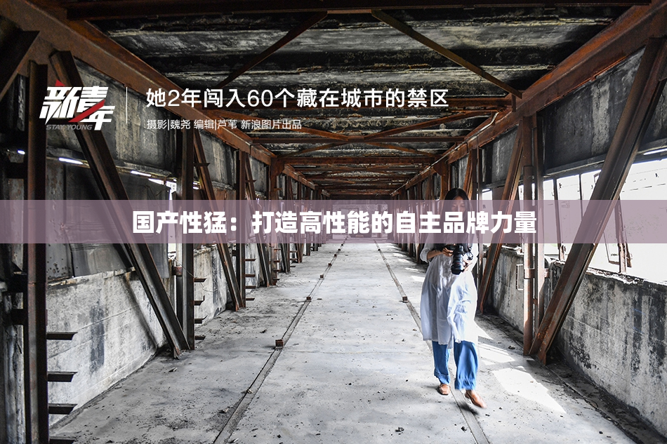 国产性猛：打造高性能的自主品牌力量
