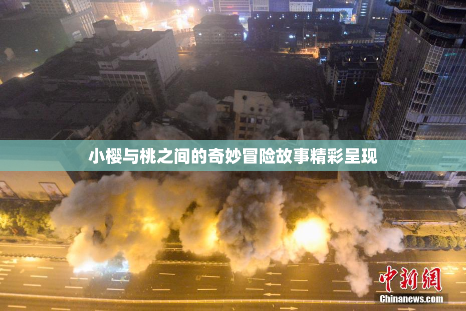 小樱与桃之间的奇妙冒险故事精彩呈现