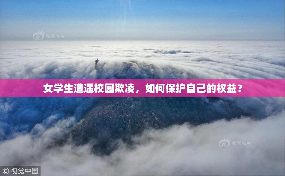 女学生遭遇校园欺凌，如何保护自己的权益？