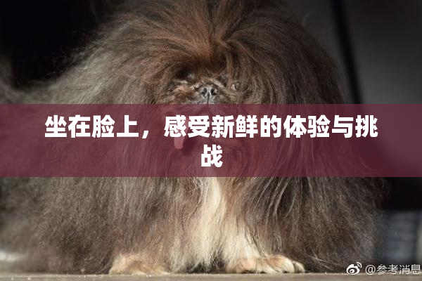 坐在脸上，感受新鲜的体验与挑战