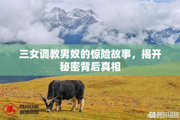 三女调教男奴的惊险故事，揭开秘密背后真相