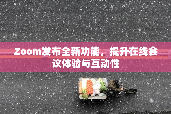 Zoom发布全新功能，提升在线会议体验与互动性