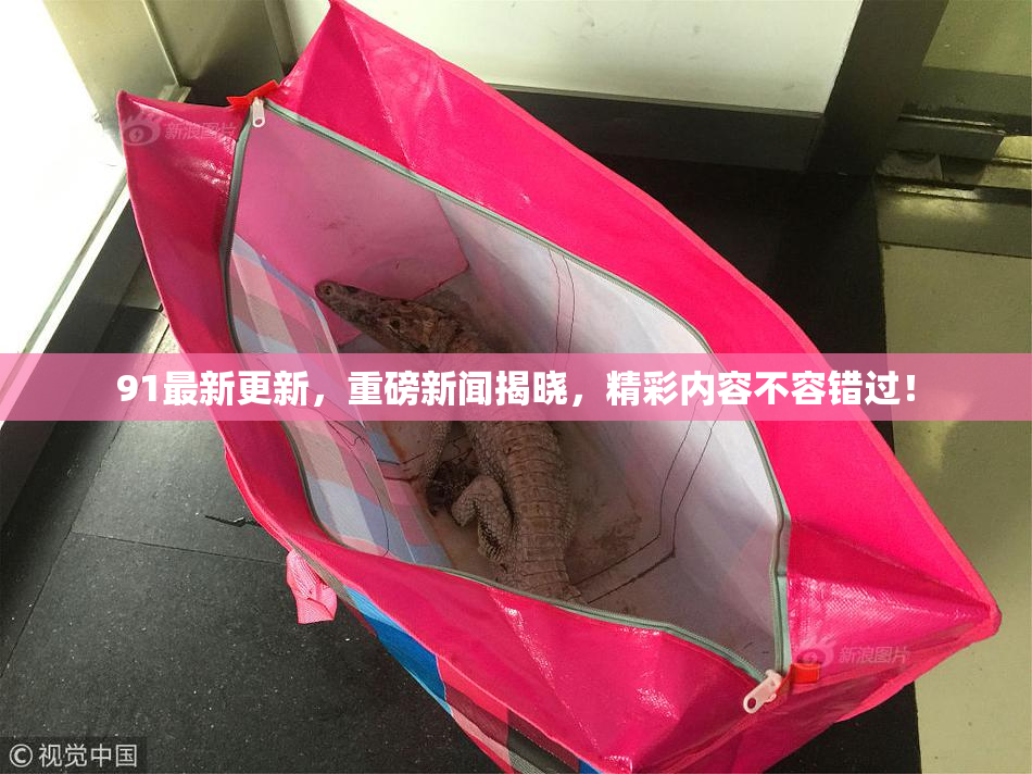 91最新更新，重磅新闻揭晓，精彩内容不容错过！