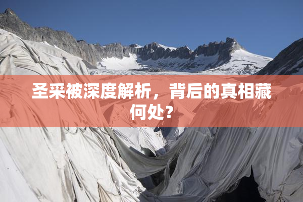 圣采被深度解析，背后的真相藏何处？