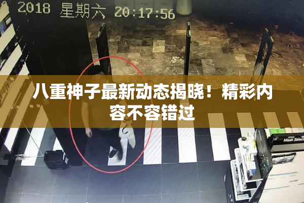 八重神子最新动态揭晓！精彩内容不容错过