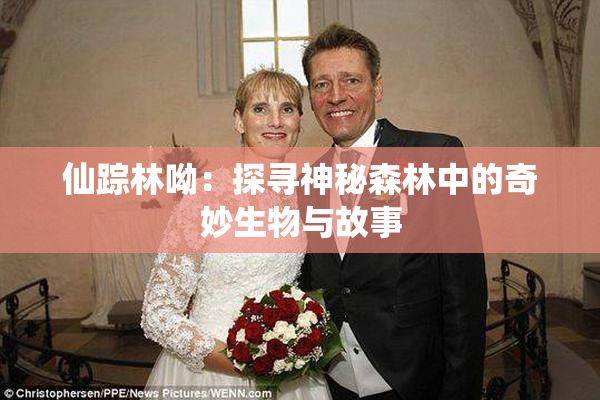 仙踪林呦：探寻神秘森林中的奇妙生物与故事
