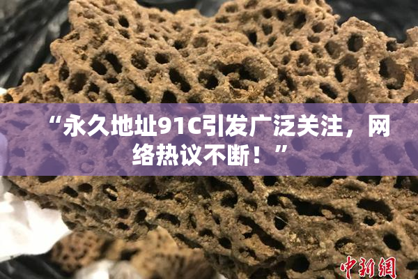 “永久地址91C引发广泛关注，网络热议不断！”