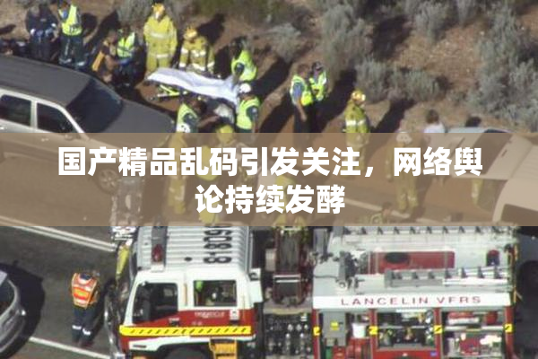 国产精品乱码引发关注，网络舆论持续发酵