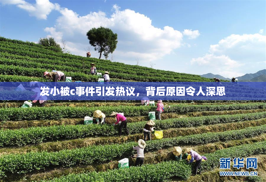 发小被c事件引发热议，背后原因令人深思