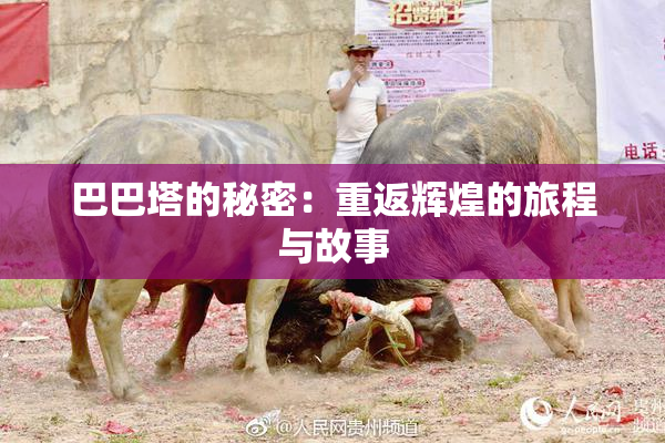 巴巴塔的秘密：重返辉煌的旅程与故事
