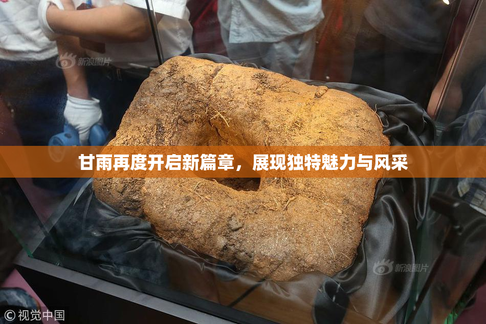 甘雨再度开启新篇章，展现独特魅力与风采