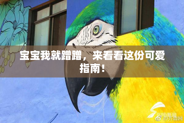 宝宝我就蹭蹭，来看看这份可爱指南！