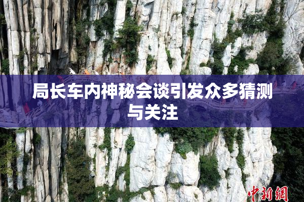 局长车内神秘会谈引发众多猜测与关注