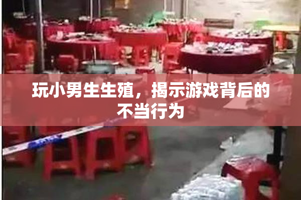 玩小男生生殖，揭示游戏背后的不当行为