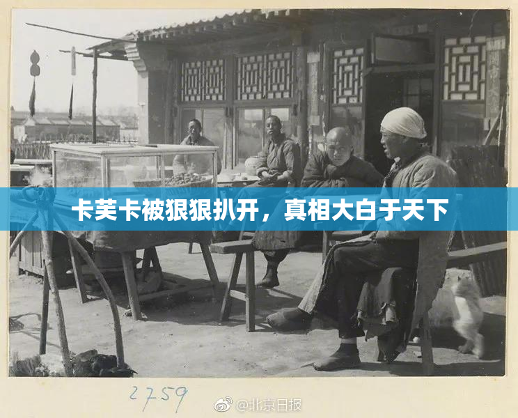 卡芙卡被狠狠扒开，真相大白于天下
