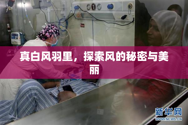 真白风羽里，探索风的秘密与美丽