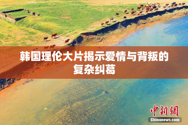 韩国理伦大片揭示爱情与背叛的复杂纠葛