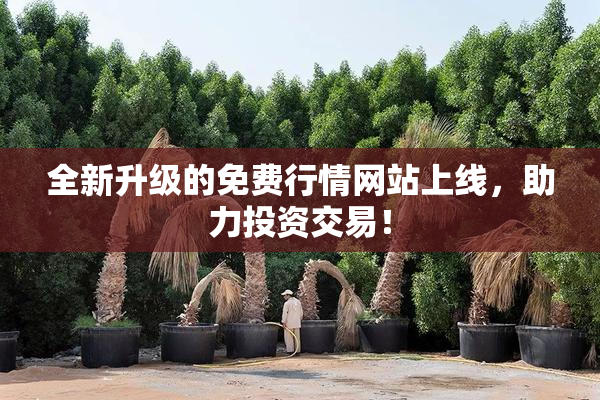 全新升级的免费行情网站上线，助力投资交易！