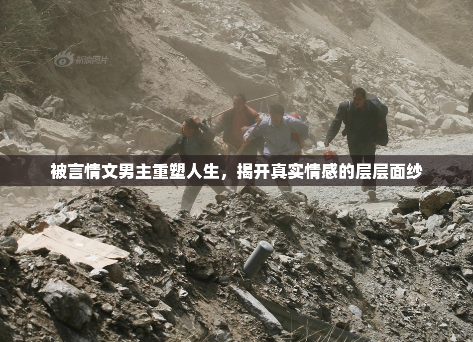 被言情文男主重塑人生，揭开真实情感的层层面纱