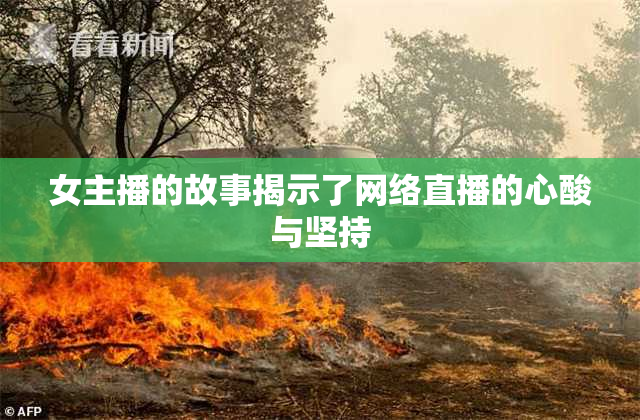 女主播的故事揭示了网络直播的心酸与坚持