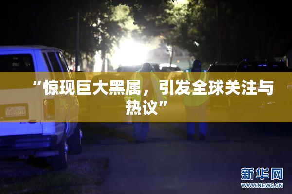 “惊现巨大黑属，引发全球关注与热议”