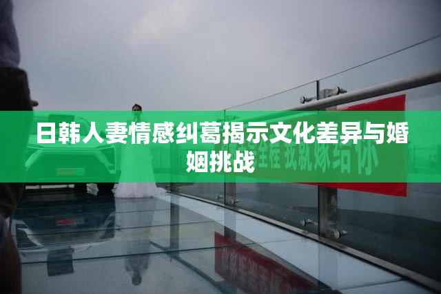 日韩人妻情感纠葛揭示文化差异与婚姻挑战