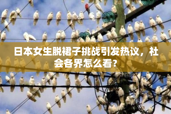 日本女生脱裙子挑战引发热议，社会各界怎么看？