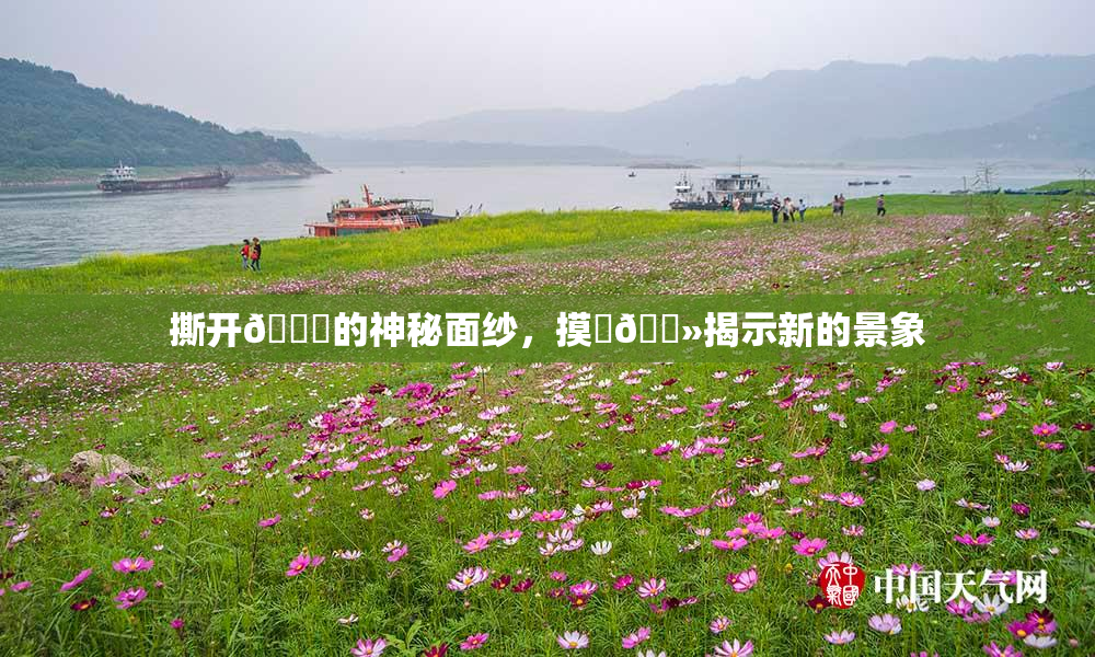 撕开👙的神秘面纱，摸‌🐻揭示新的景象