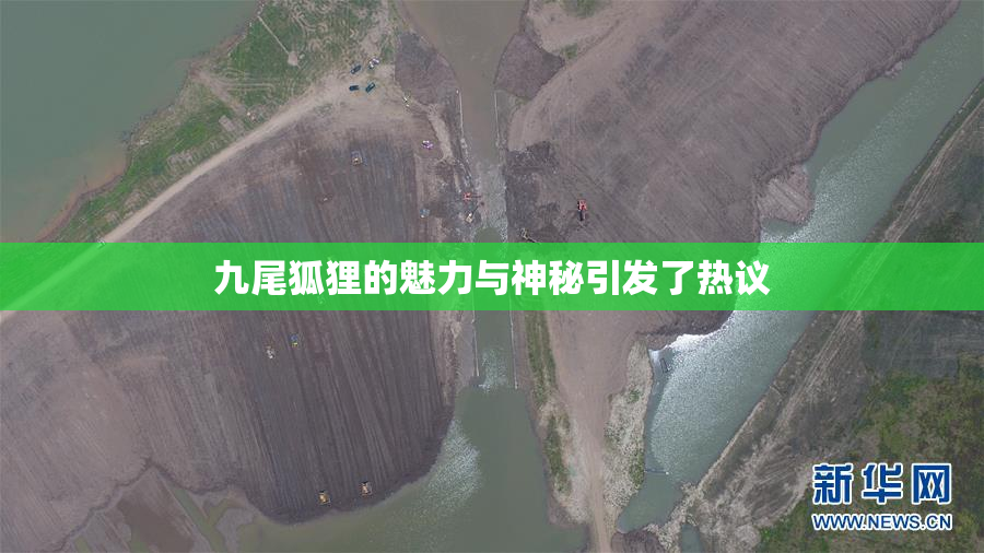 九尾狐狸的魅力与神秘引发了热议