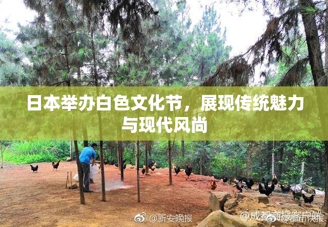 日本举办白色文化节，展现传统魅力与现代风尚