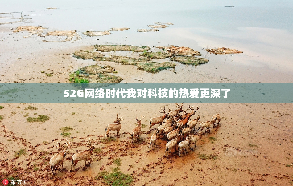 52G网络时代我对科技的热爱更深了