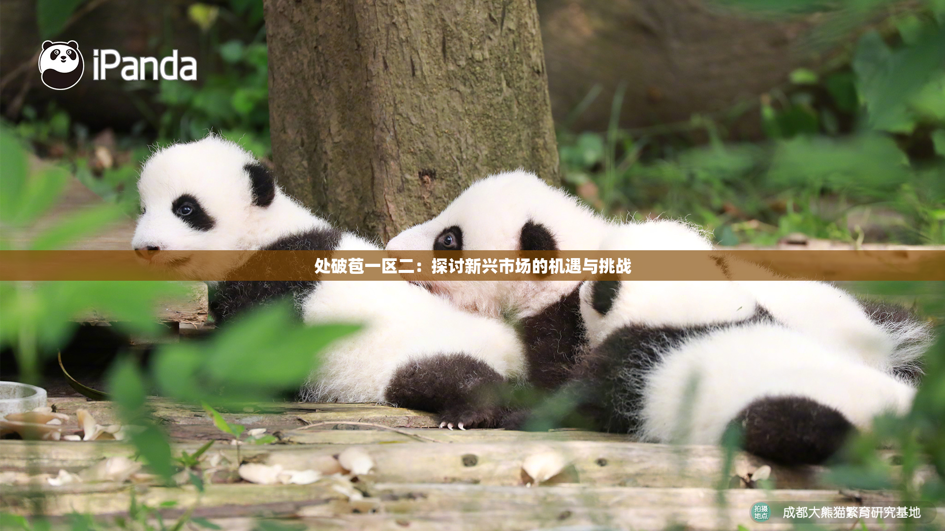 处破苞一区二：探讨新兴市场的机遇与挑战