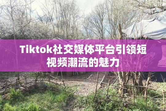Tiktok社交媒体平台引领短视频潮流的魅力