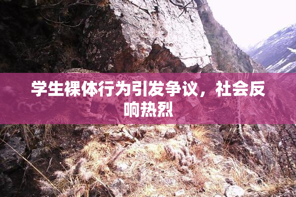 学生裸体行为引发争议，社会反响热烈
