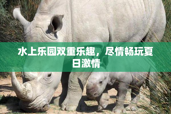 水上乐园双重乐趣，尽情畅玩夏日激情
