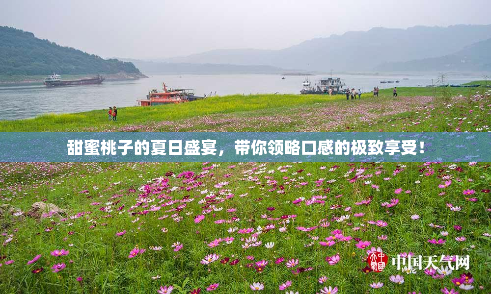 甜蜜桃子的夏日盛宴，带你领略口感的极致享受！