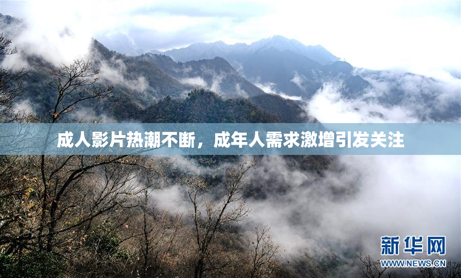 成人影片热潮不断，成年人需求激增引发关注