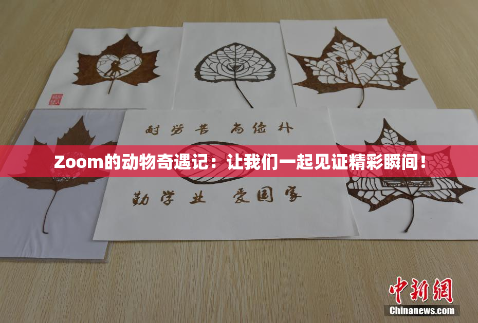 Zoom的动物奇遇记：让我们一起见证精彩瞬间！