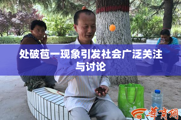 处破苞一现象引发社会广泛关注与讨论