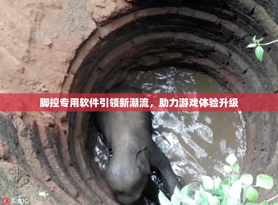 脚控专用软件引领新潮流，助力游戏体验升级