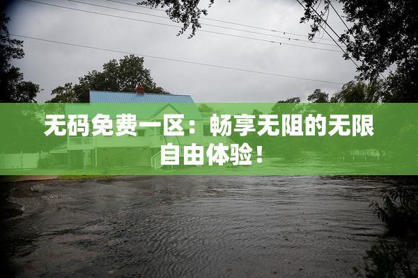 无码免费一区：畅享无阻的无限自由体验！