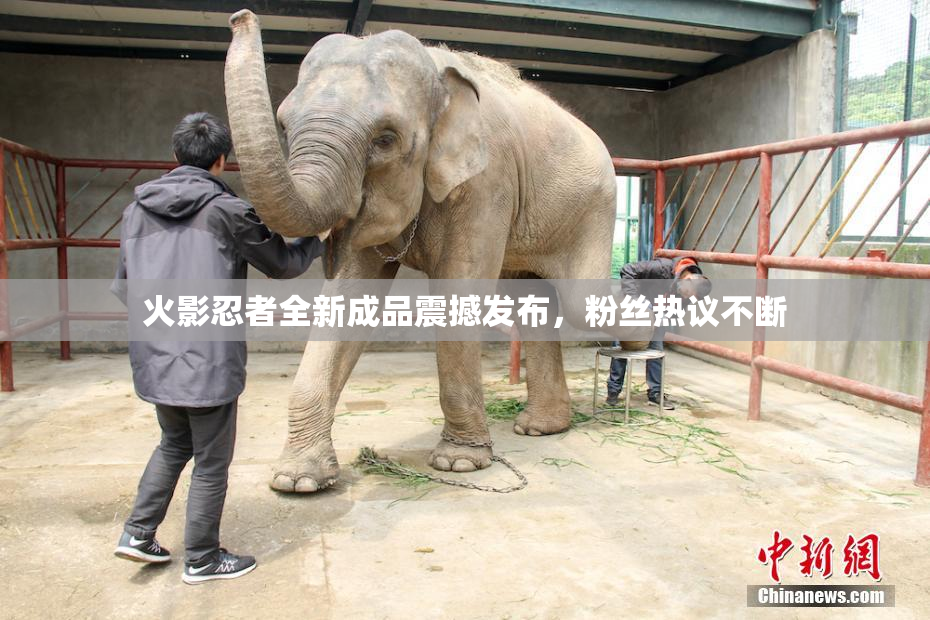 火影忍者全新成品震撼发布，粉丝热议不断