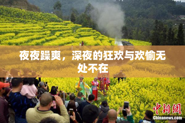 夜夜躁爽，深夜的狂欢与欢愉无处不在