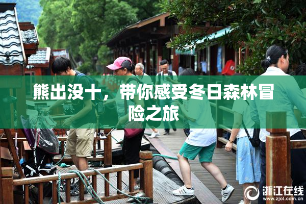 熊出没十，带你感受冬日森林冒险之旅