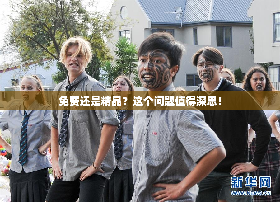 免费还是精品？这个问题值得深思！