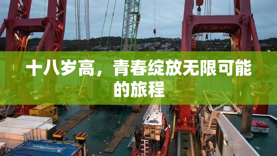 十八岁高，青春绽放无限可能的旅程