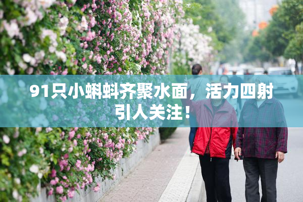 91只小蝌蚪齐聚水面，活力四射引人关注！