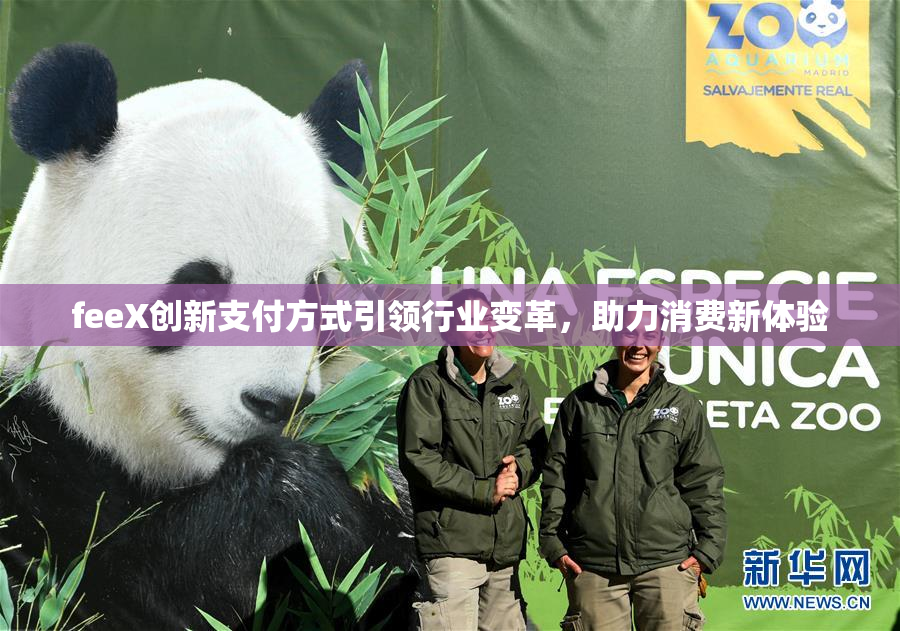 feeX创新支付方式引领行业变革，助力消费新体验