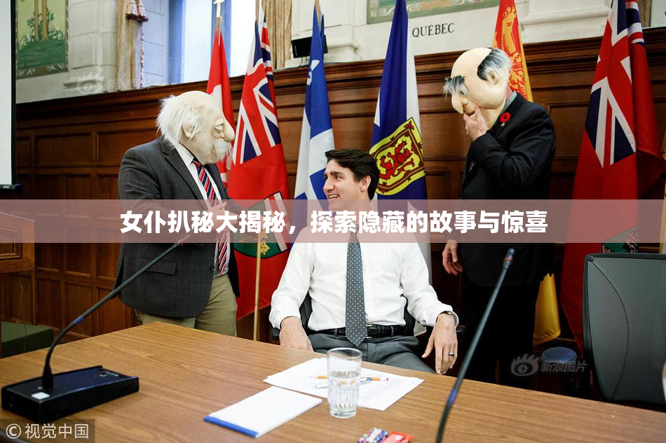 女仆扒秘大揭秘，探索隐藏的故事与惊喜